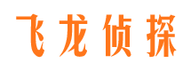 临港市侦探调查公司